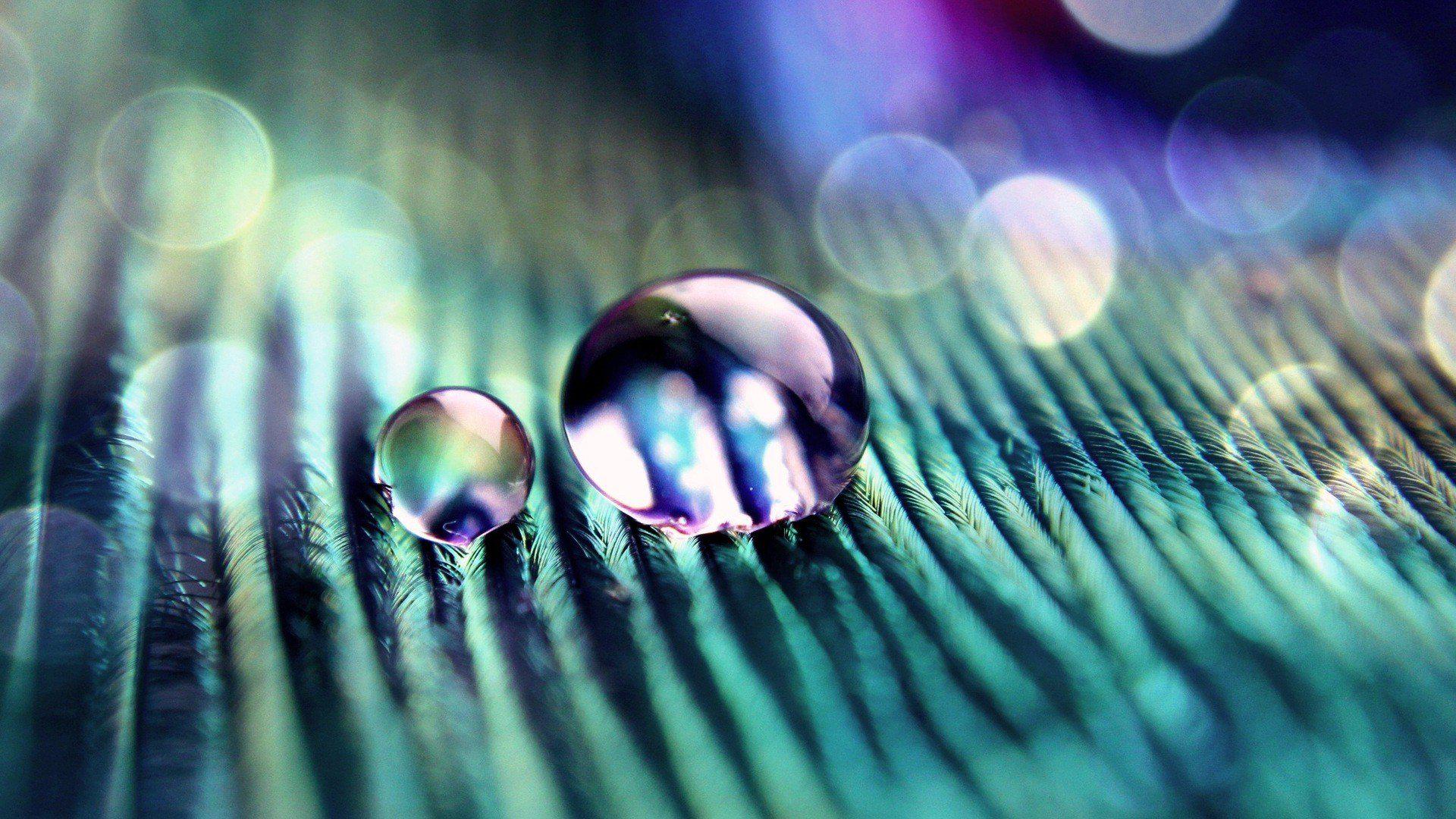 HD Abstract Water Drops Macro HD Background Wallpaper Download Free