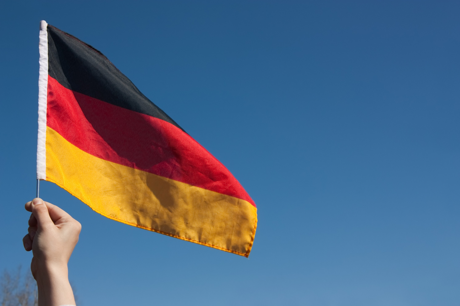 Germany’s AfD Re-Elects Leaders as Thousands Protest Far-Right Party Convention