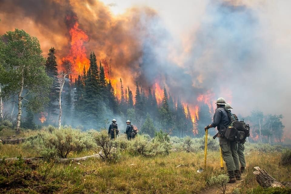 Canadian Wildfire Smoke Chokes US: These 10 Cities Have the Worst Air Quality Right Now