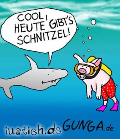 Schnitzel Bild lustich.de