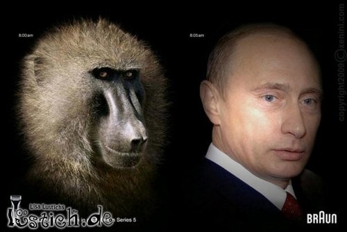 Putin Bild lustich.de
