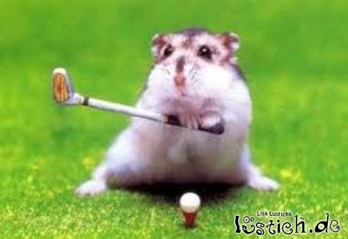 Minigolf Bild lustich.de