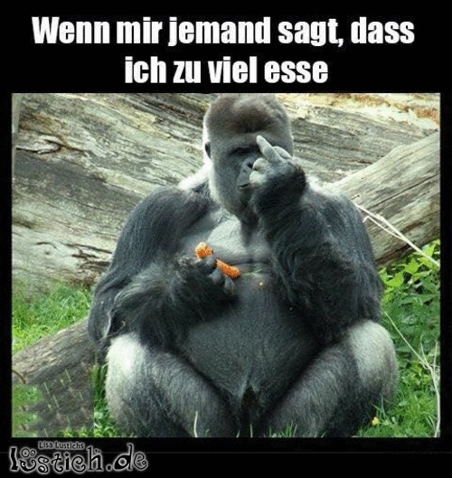 Verfressen? Bild lustich.de