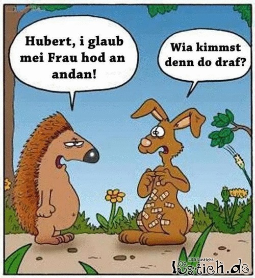 Igelprobleme Bild lustich.de