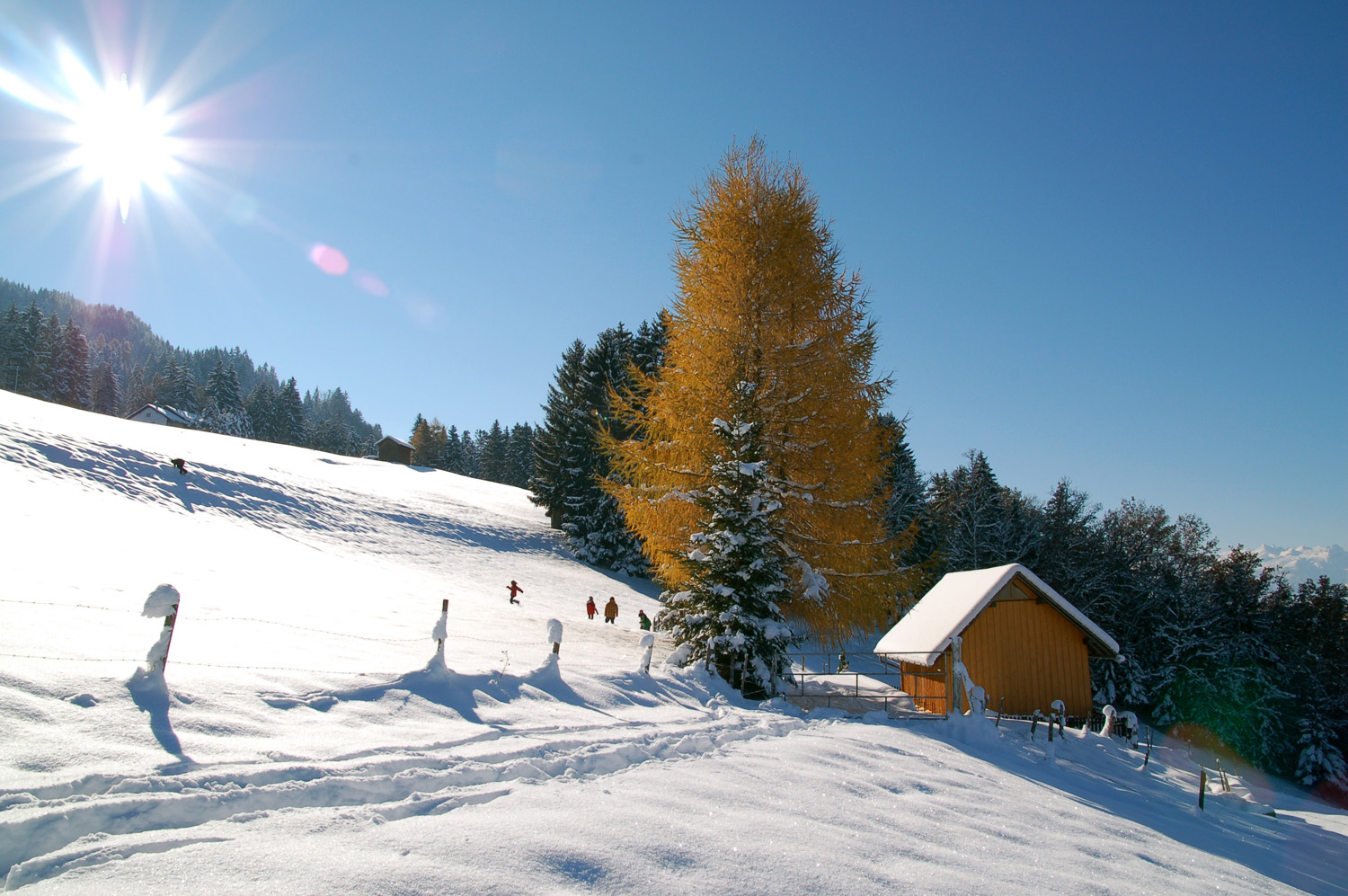Herbstsonne Sonstiges Galerie MacTechNews.de