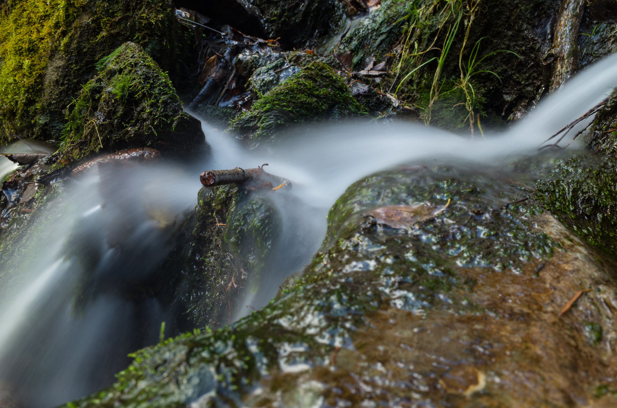 neulich im Harz Wallpaper Galerie MacTechNews.de