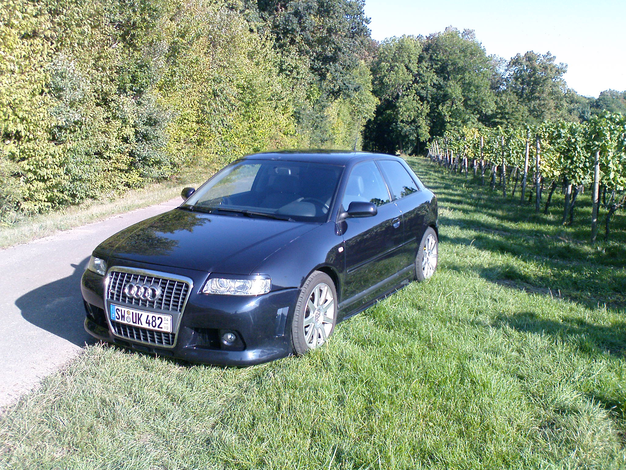 Audi A3 8L /Saisonanmeldung Biete Audi
