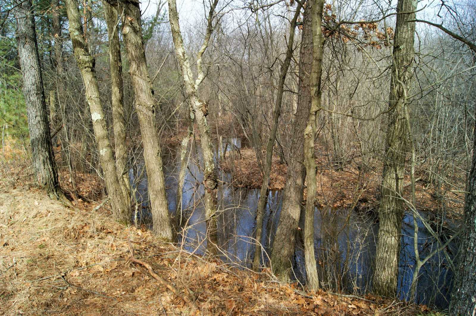 Lot 10 ROSEWOOD RIDGE LOTS, Wisconsin Rapids, WI 54494 Listings
