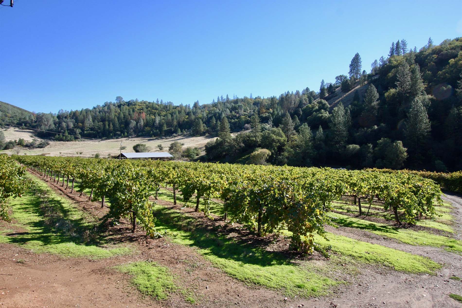 7449 Esmeralda Road, San Andreas, CA 95249 Listings NextHome Utica