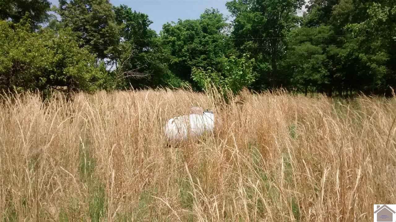 1046 Magness Road, Benton, KY 42025 Listings NextHome For You