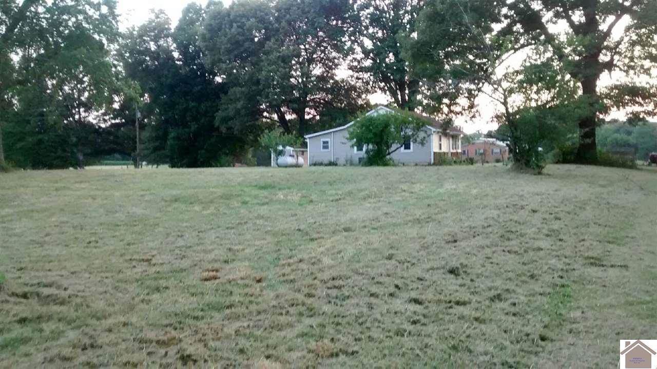 1046 Magness Road, Benton, KY 42025 Listings NextHome For You