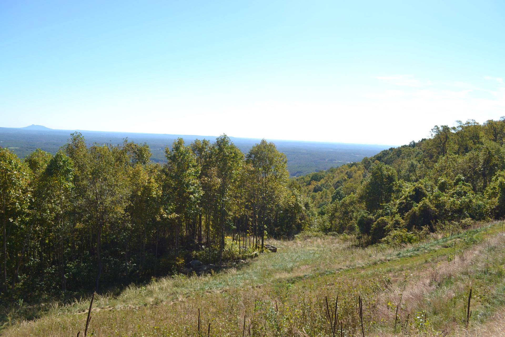 TBD Starry Nights Drive, Fancy Gap, VA 24328 Listings Greg Hounshell