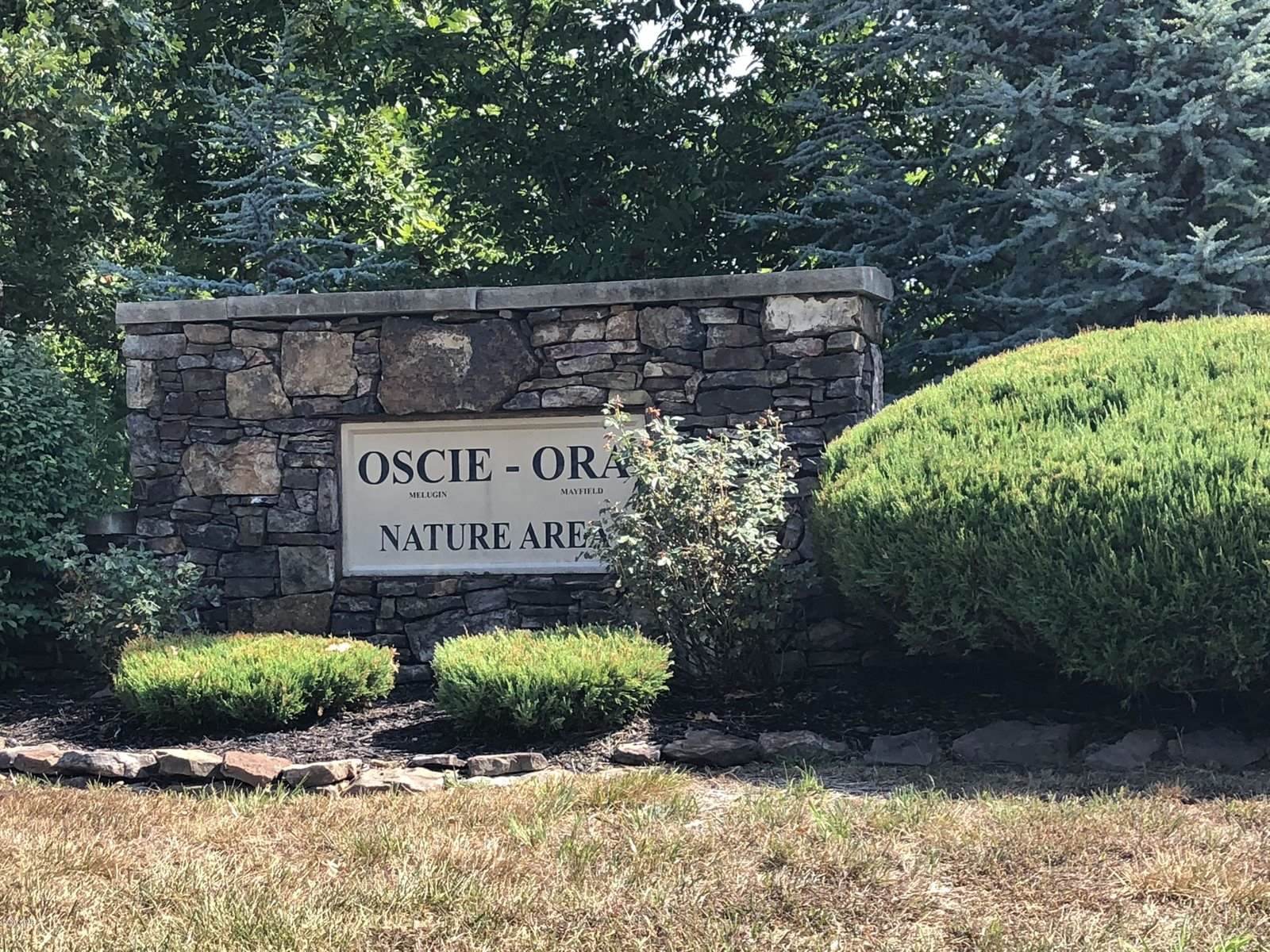 Lot 14 Sub Plat 1 OscieOra, b City, MO 64870 Listings Tanya Scott