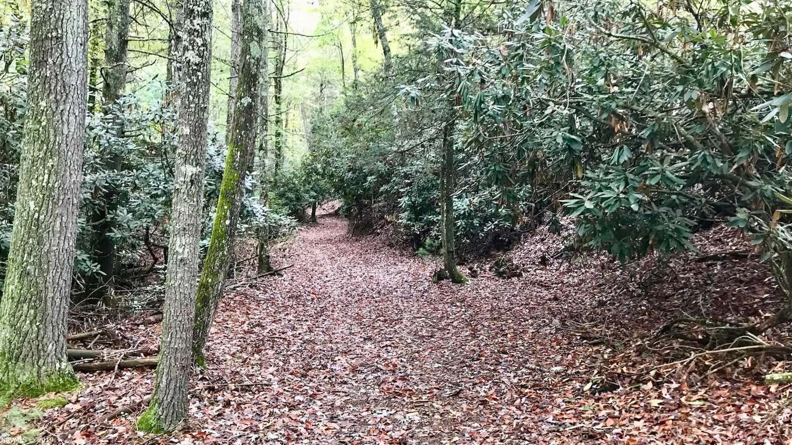 4438 Little Creek Highway, Dublin, VA 24084 Listings Greg Hounshell