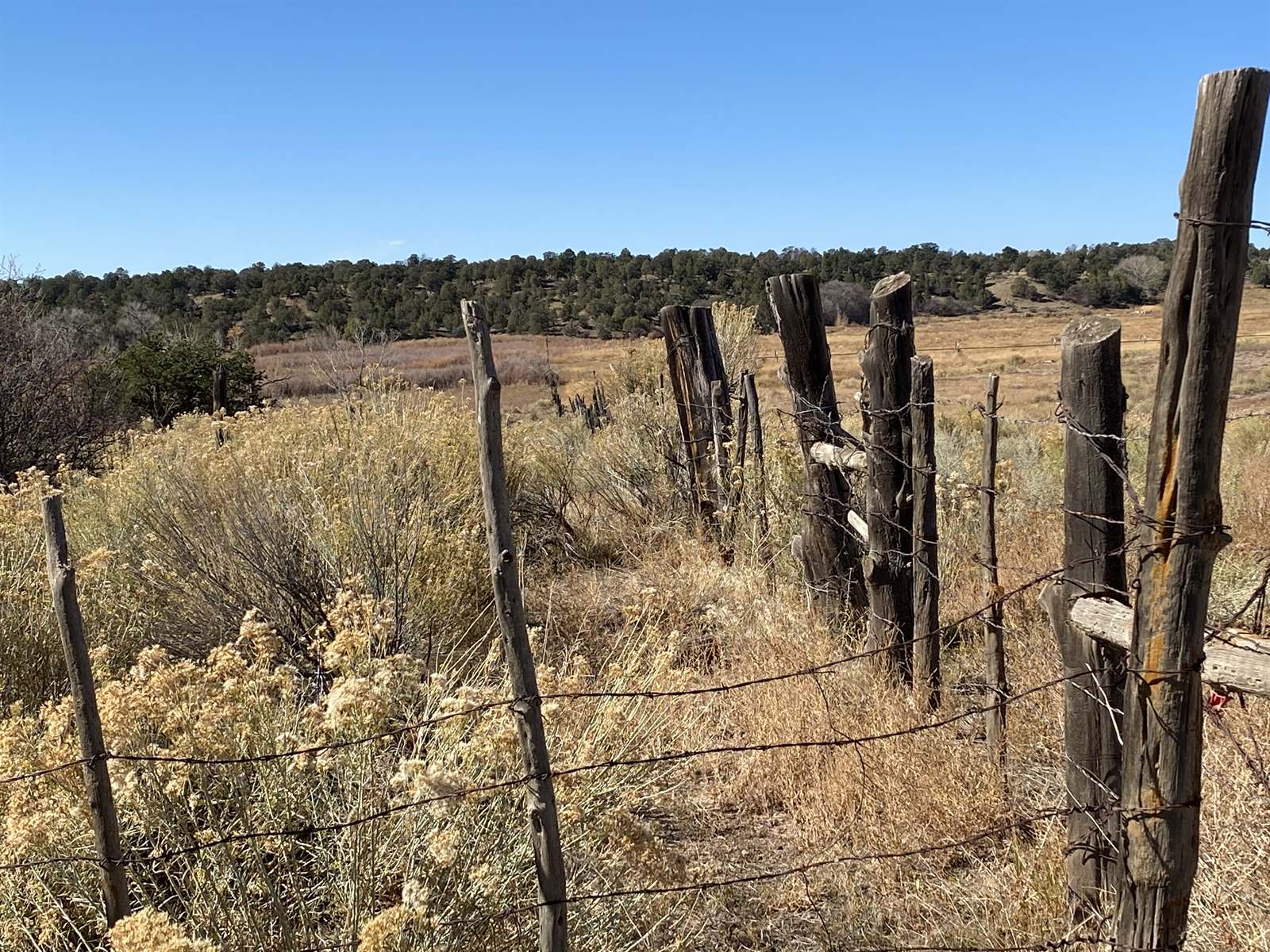 x County Road 988, Arboles, CO 81121 Listings NextHome Majestic Properties