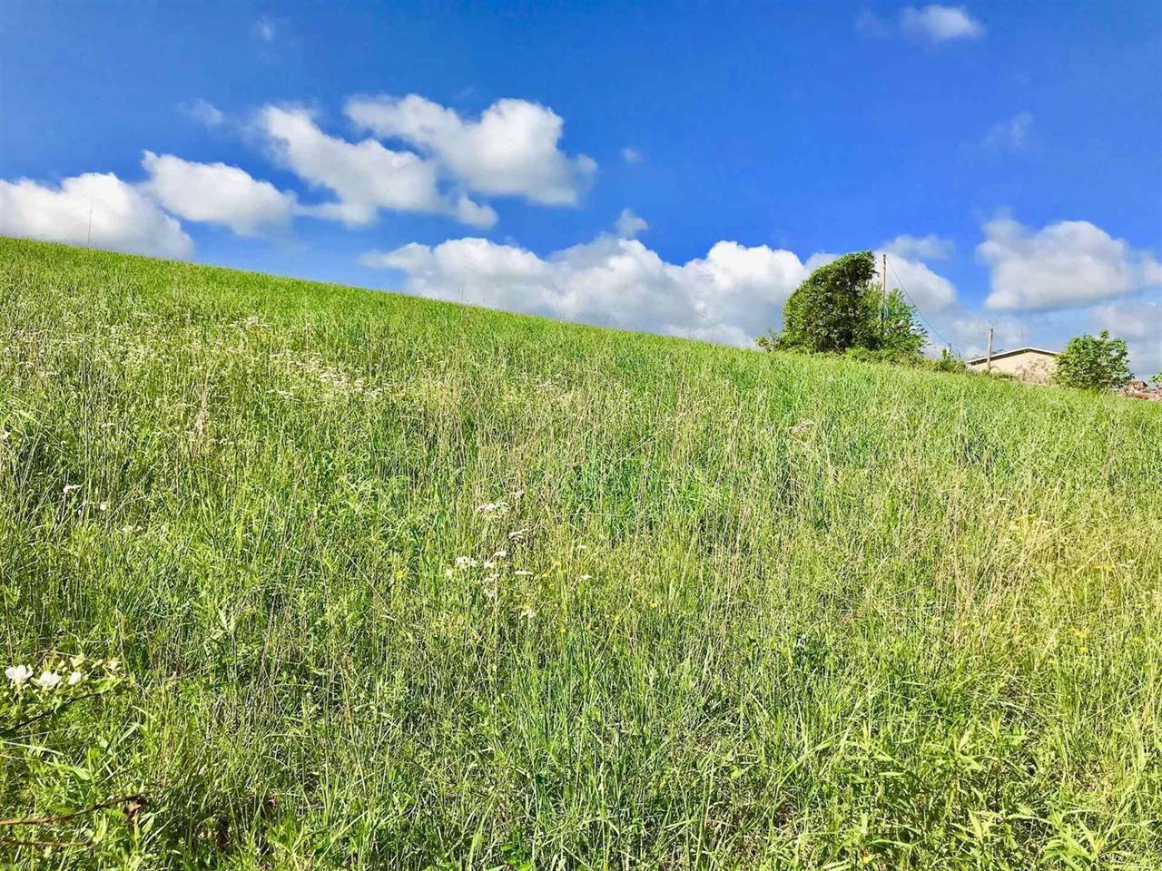 TBD Brown Town Road, Max Meadows, VA 24360 Listings Greg Hounshell