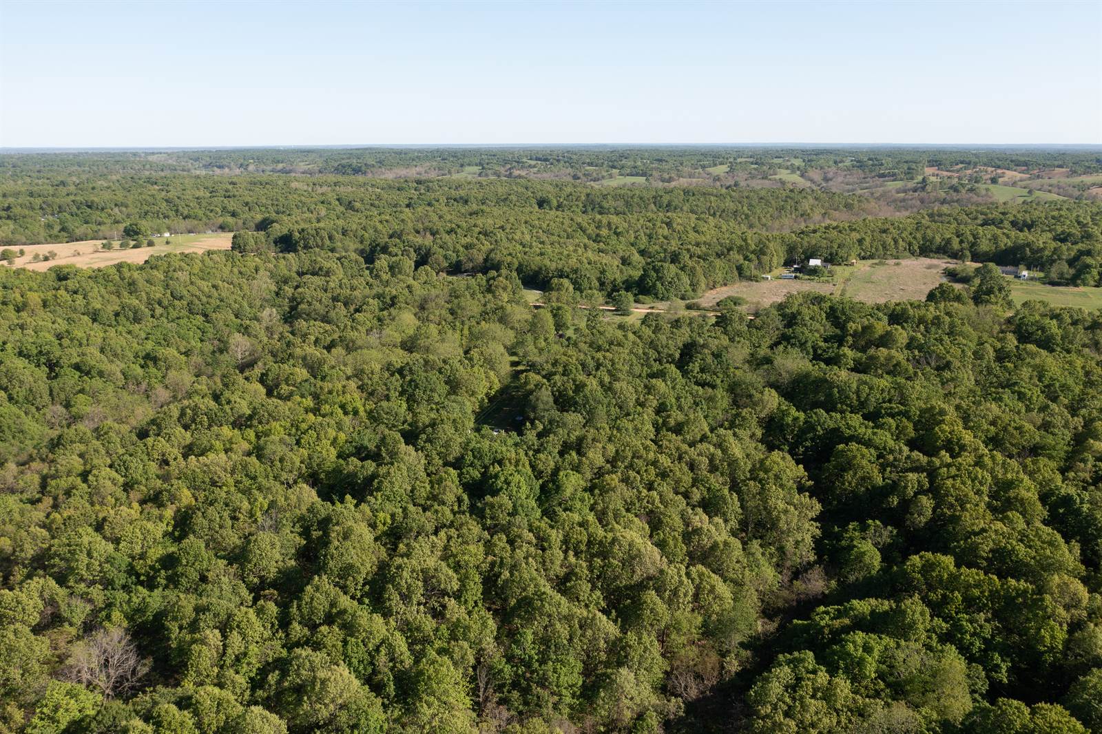 TBD xx Fiddlers Ridge, Goodman, MO 64843 Listings NextHome SoMo Life