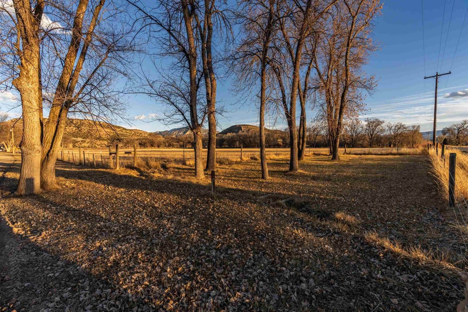 2164 45 1/2 Road, De Beque, CO 81630 Listings Lisa Prather