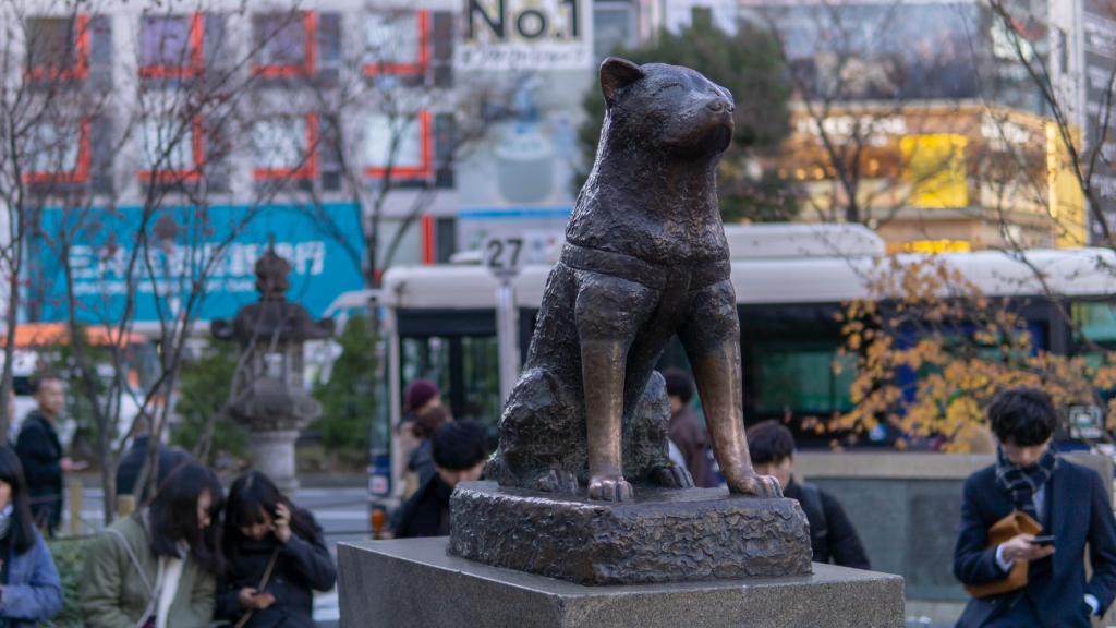 Hachikō, the loyal dog who waited for his owner everyday for 10 years