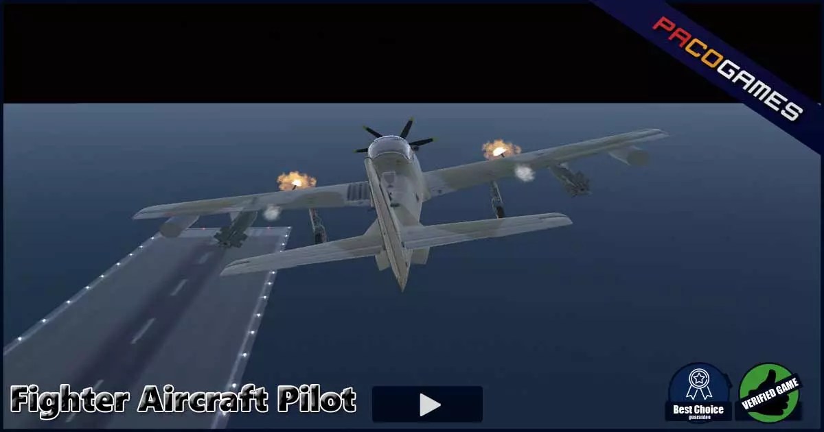 Fighter Aircraft Pilot Play the Game for Free on PacoGames