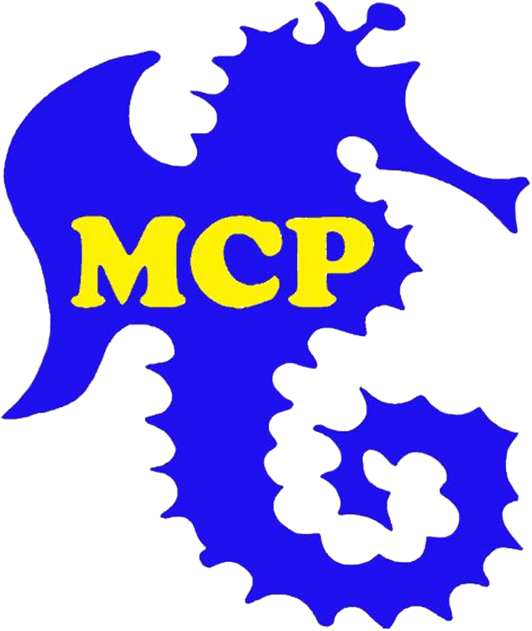 Catalog Mountainside Recreation, NJ