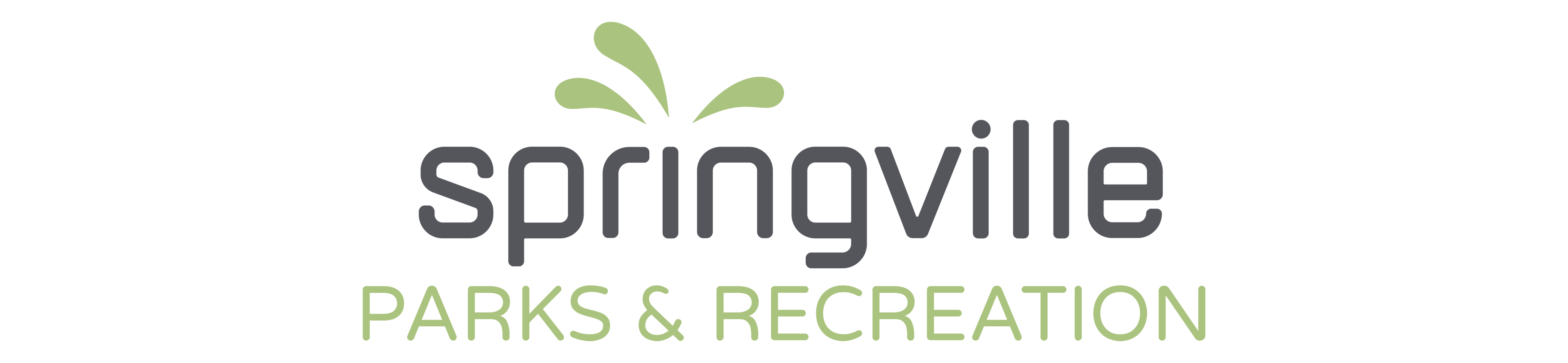 Catalog Springville City Recreation