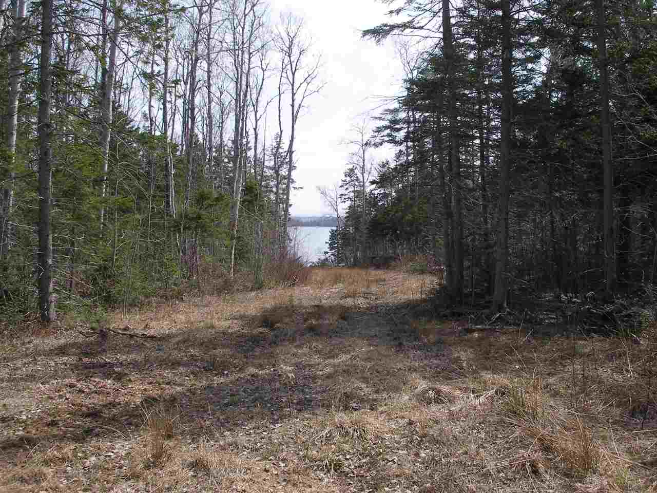 Lot 4 Malagash Road, Malagash, (MLS® 201913651) RE/MAX nova
