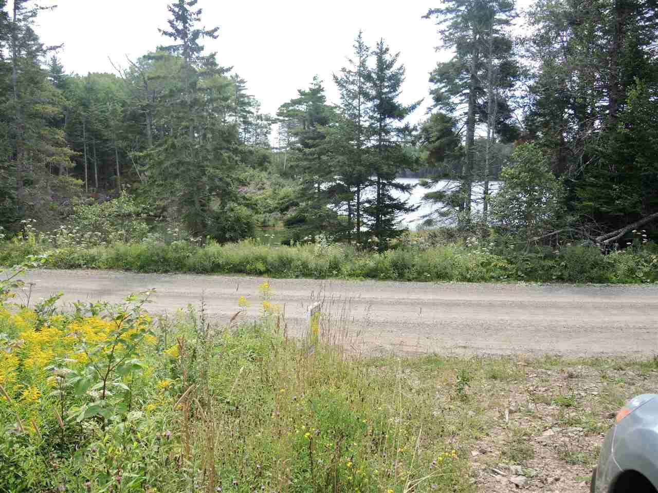 OrangedaleIona Road, West Alba, (MLS® 201919823) RE/MAX nova