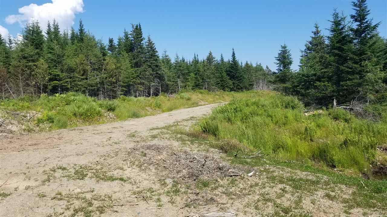 Three Rivers Road, Framboise Intervale, (MLS® 202015451) RE/MAX nova