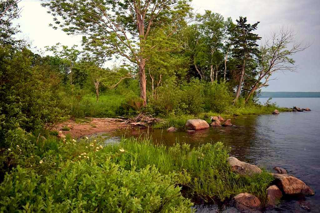 3583 Hwy395, East Lake Ainslie, (MLS® 202018522) RE/MAX nova