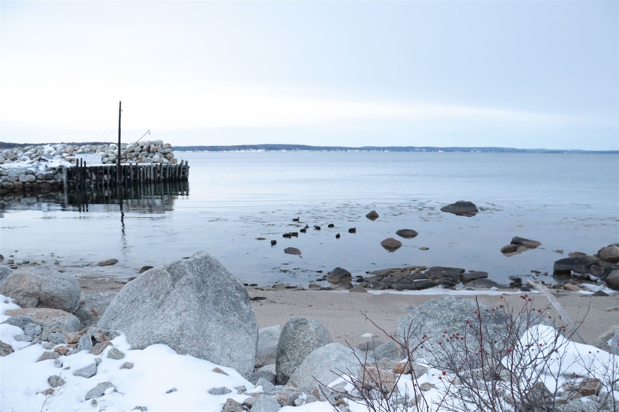 299 Mill Cove Shore Road, Mill Cove, (MLS® 202102322) RE/MAX nova