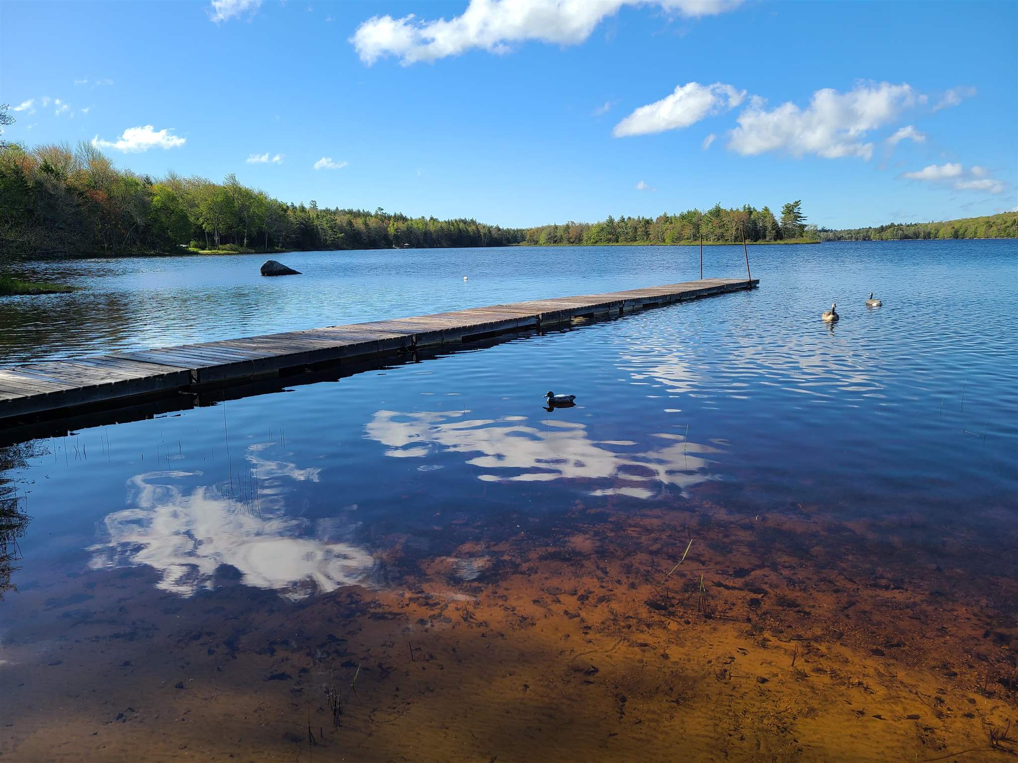 619 Lakecrest Drive, Armstrong Lake, (MLS® 202112838) RE/MAX nova