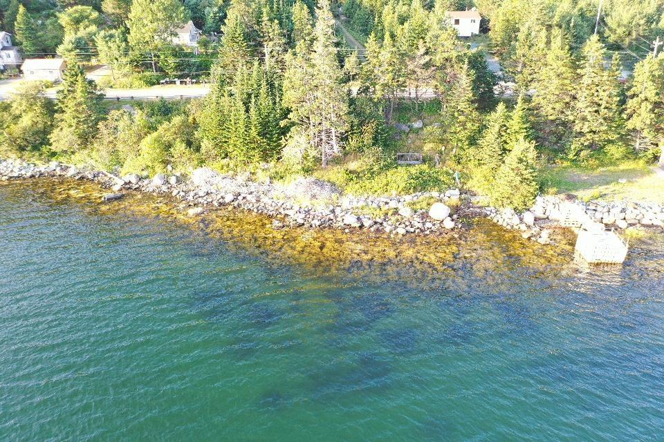 10127 Highway 7, Salmon River Bridge, (MLS® 202203345) RE/MAX nova