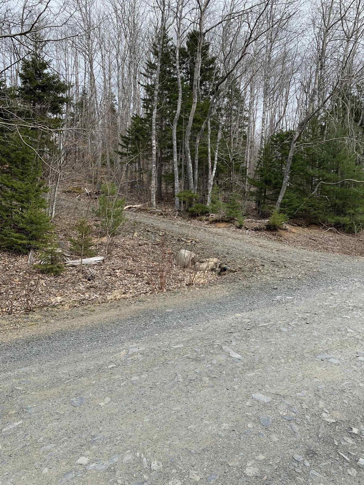 Lot 1 Beech Hill Road, Conquerall Mills, (MLS® 202208806) RE/MAX nova