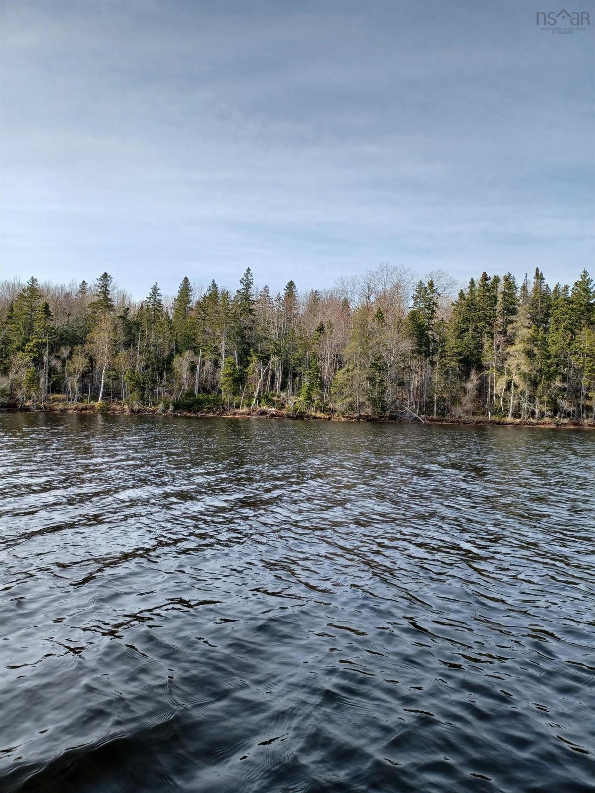 217 Angevine Road, Angevine Lake, (MLS® 202210695) RE/MAX nova