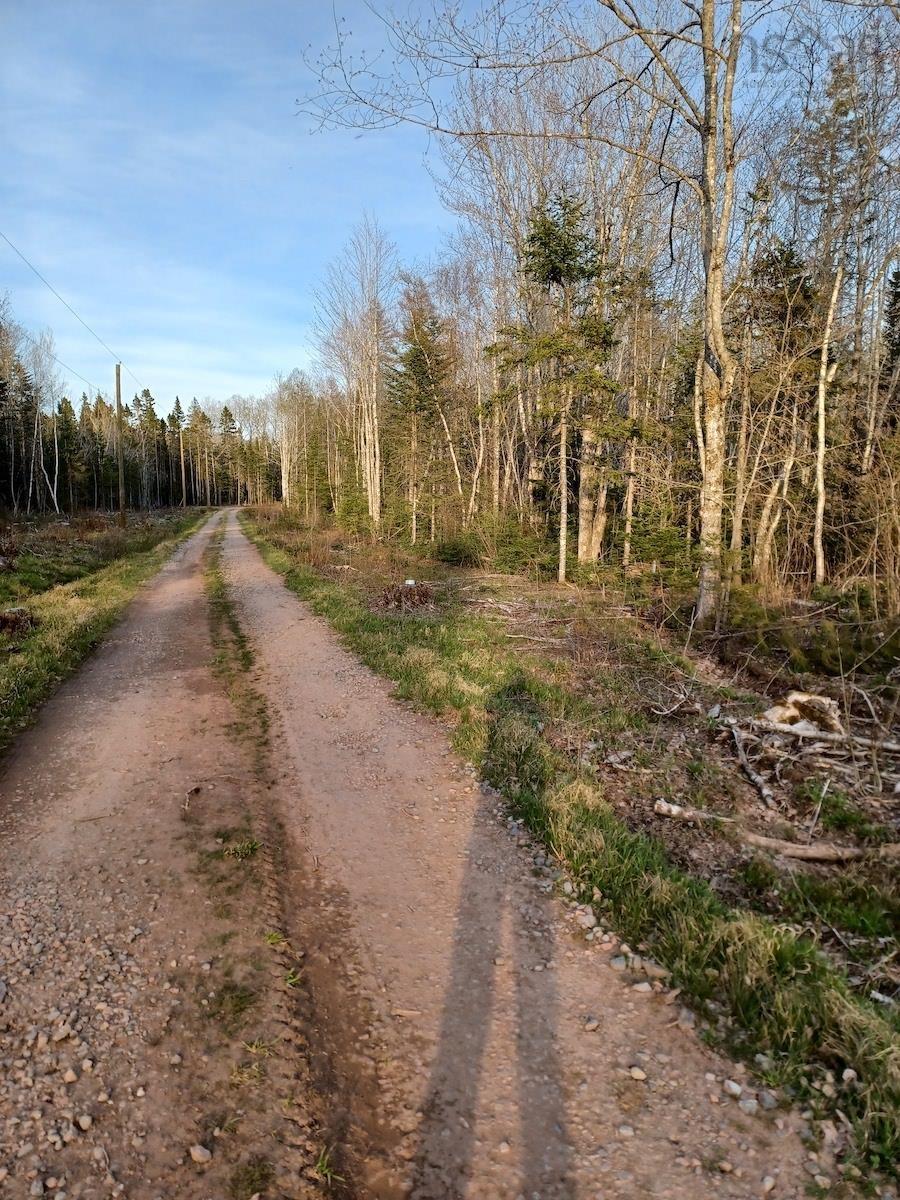 217 Angevine Road, Angevine Lake, (MLS® 202210695) RE/MAX nova