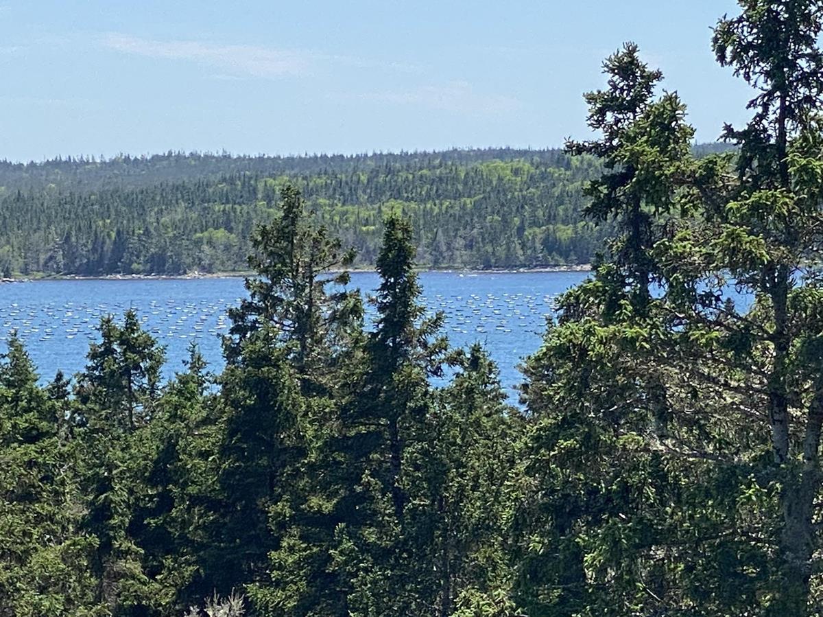 Wine Harbour Village Road, Wine Harbour, (MLS® 202215003) RE/MAX nova