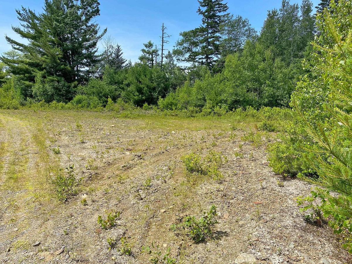 Lot Upper Branch Road, Auburndale, (MLS® 202216867) RE/MAX nova