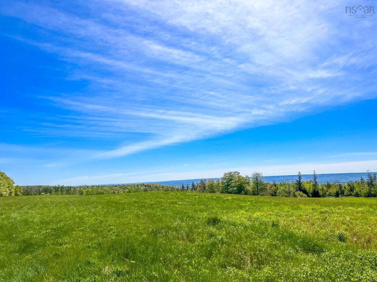 2612 Brow Of Mountain Road, Garland, (MLS® 202217044) RE/MAX nova