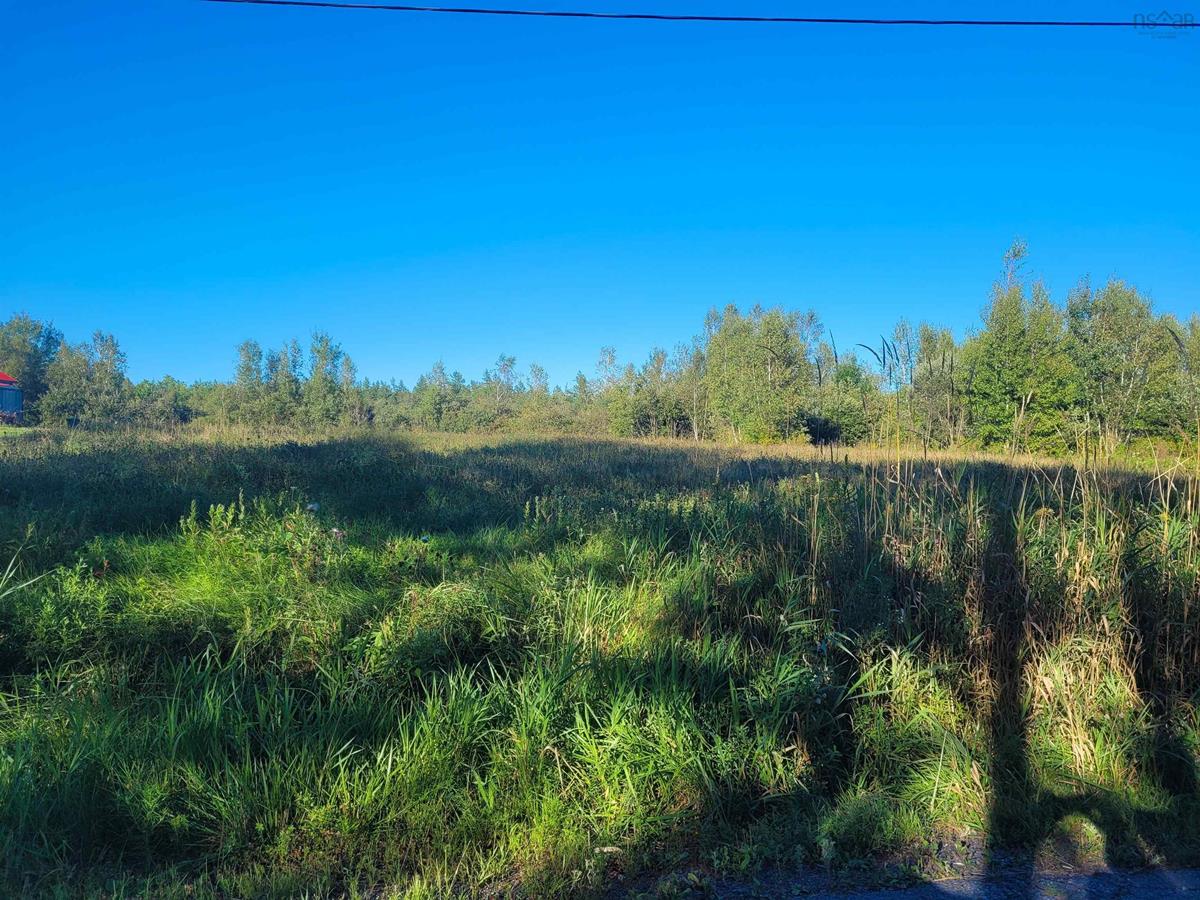 215 Grono Road, Dutch Settlement, (MLS® 202221705) RE/MAX nova