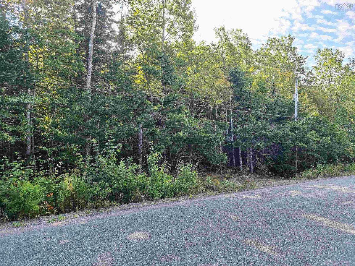 Lot 8 Adam McCallum Road, Onslow Mountain, (MLS® 202222319) RE/MAX nova