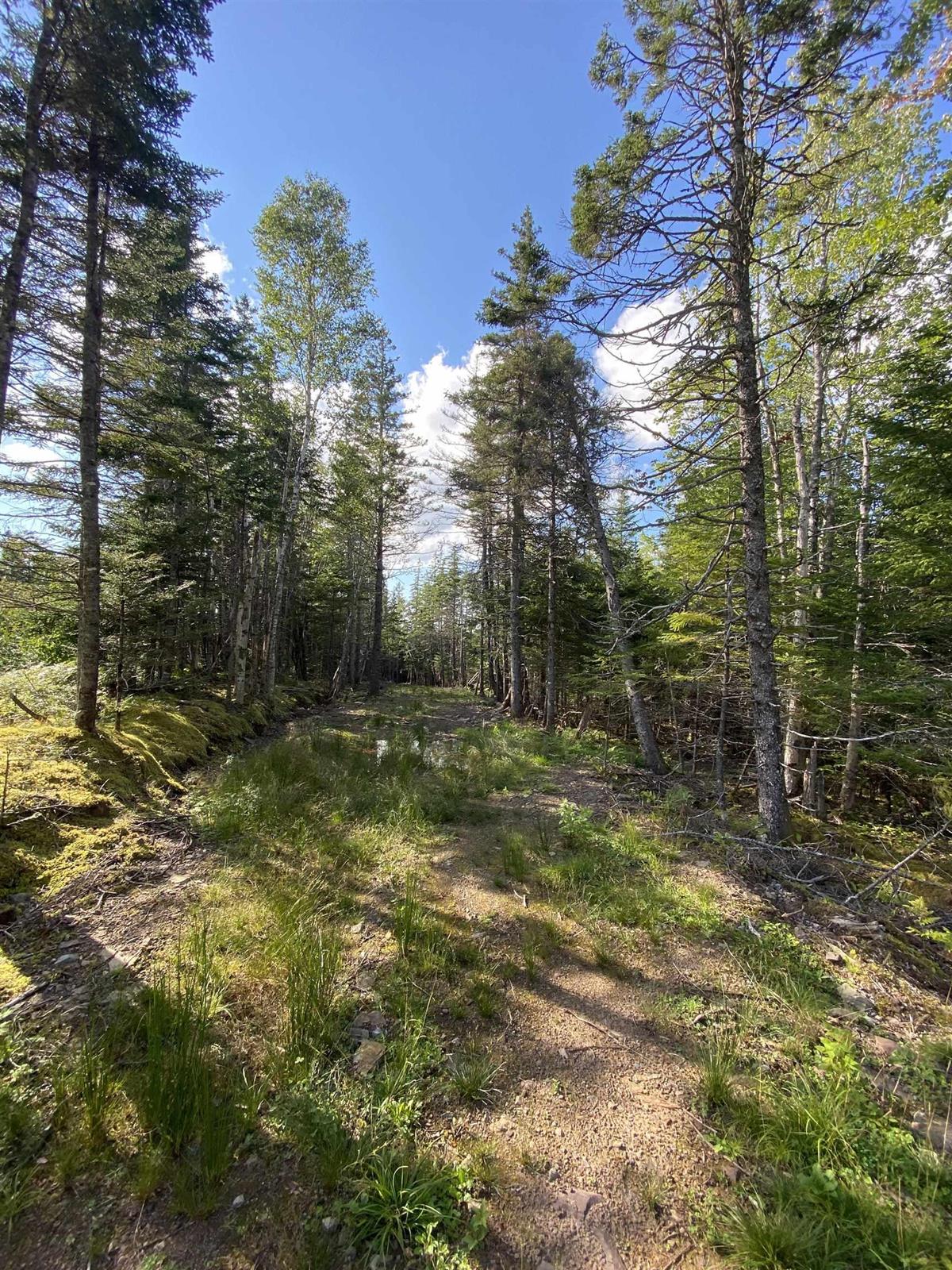 Lot Highway 4, River Bourgeois, (MLS® 202227695) RE/MAX nova