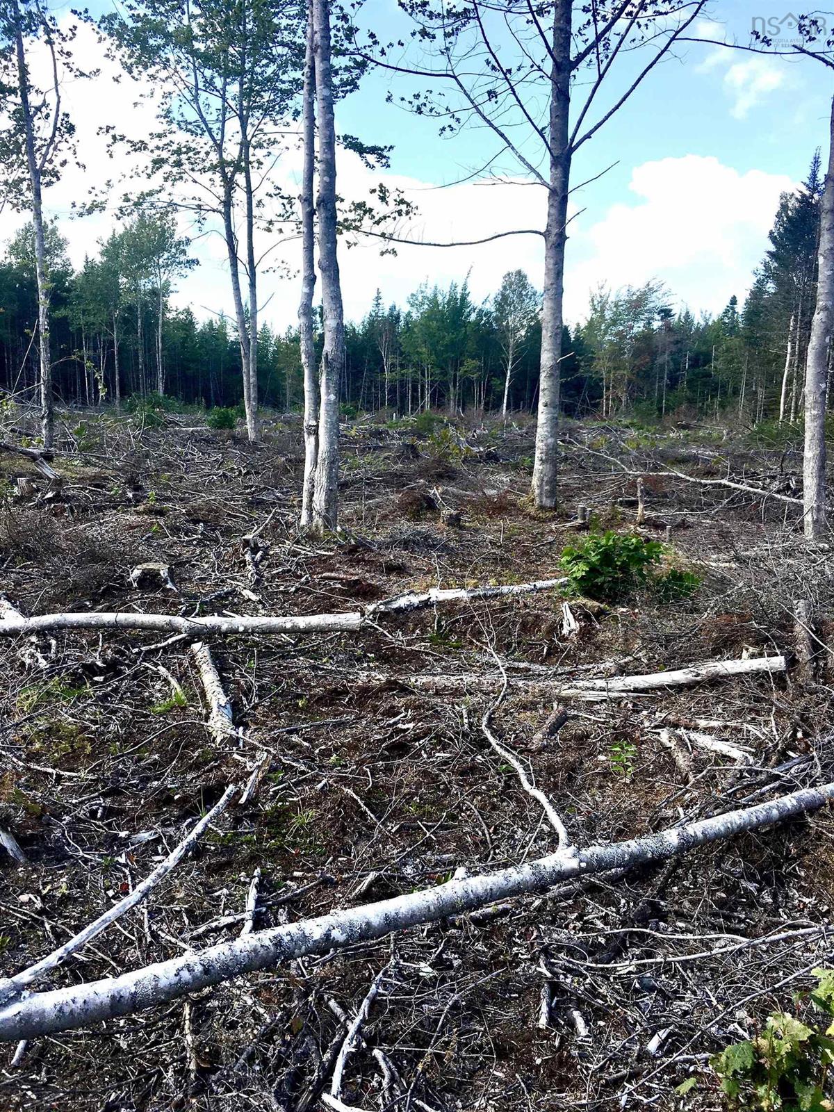 000 Frenchvale Road, Beechmont, (MLS® 202302306) RE/MAX nova