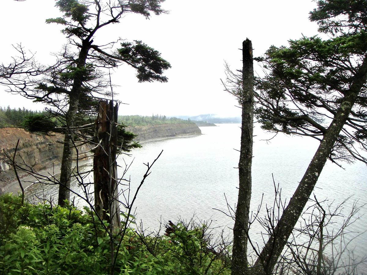 Black Rock Road, Black Rock, (MLS® 202303576) RE/MAX nova