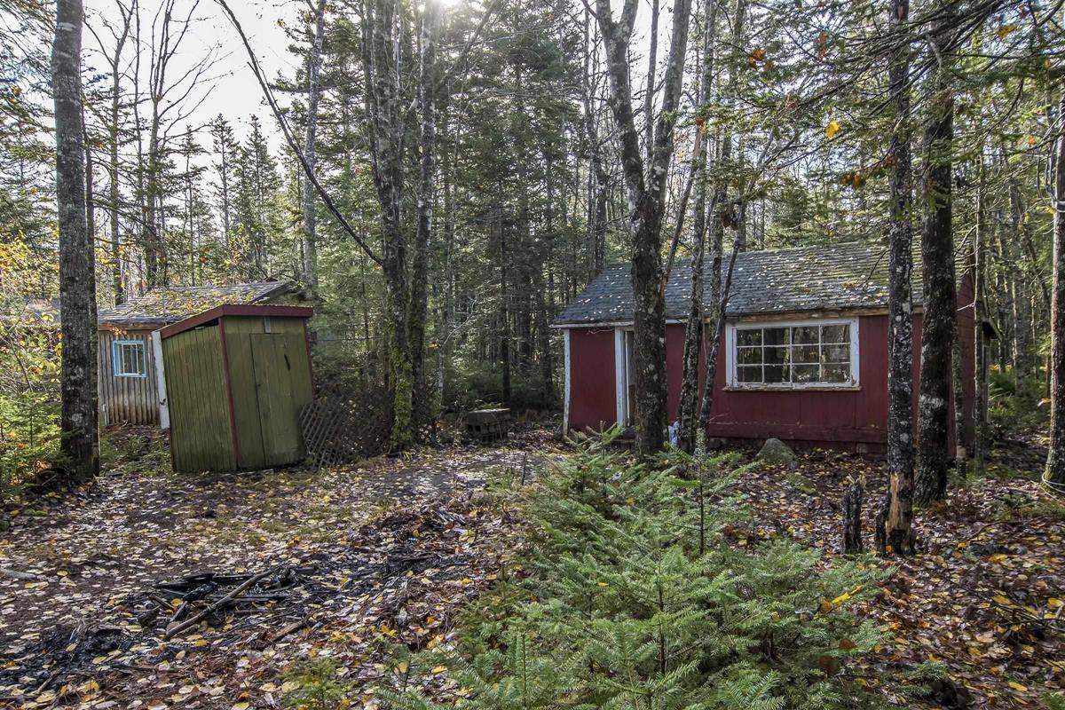 60 Freeman Collicut Road, Canaan, (MLS® 202304577) RE/MAX nova