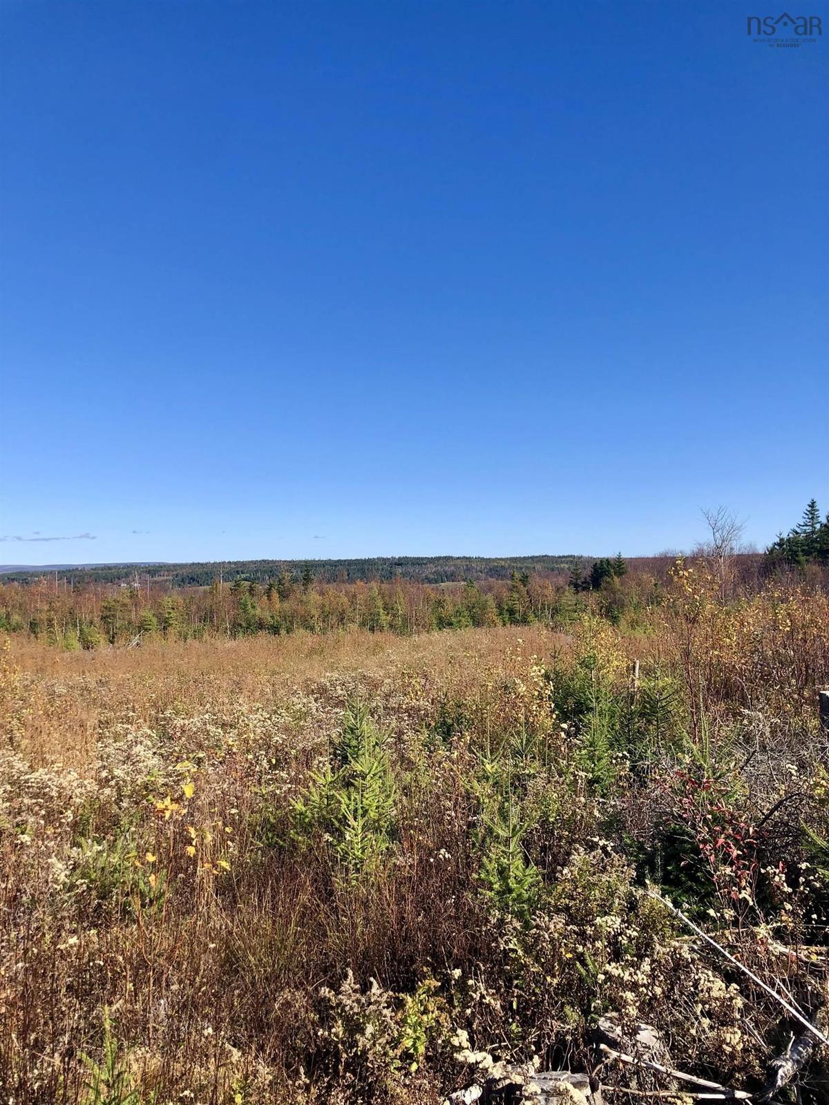 Lot 7 Little Mabou Road, Port Hood, (MLS® 202304772) RE/MAX nova