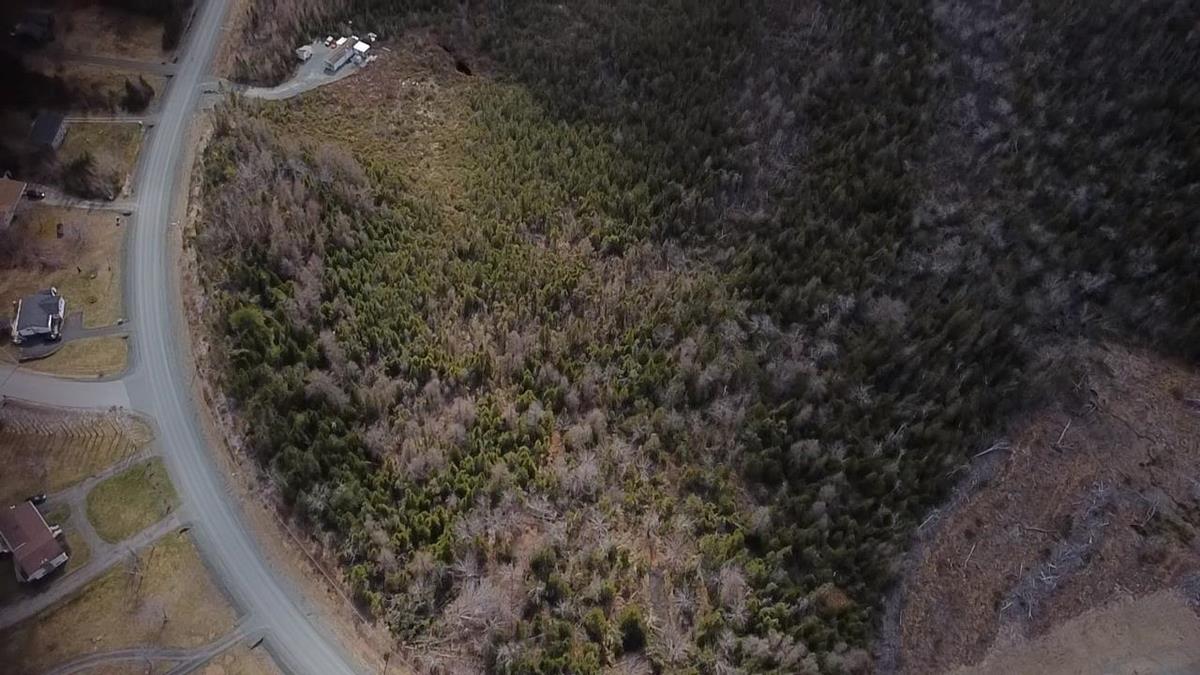 Hills Road, Albert Bridge, (MLS® 202307115) RE/MAX nova