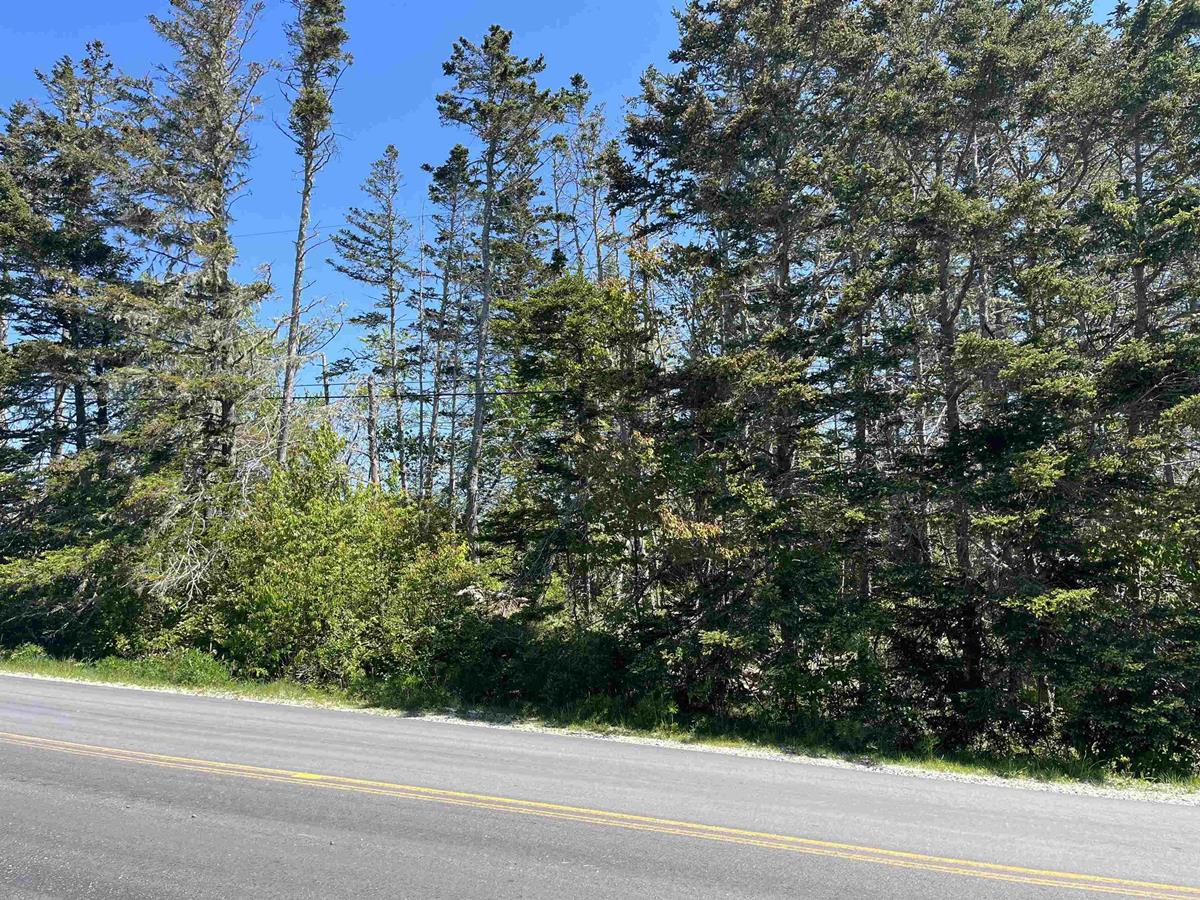 Lot Du BasDeL Ile Road, Morris Island, (MLS® 202310511) RE/MAX nova