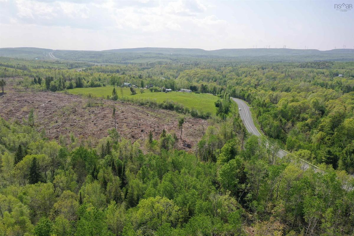 22 acres West River East Side Road, Limerock, (MLS® 202312809) RE/MAX nova