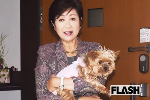 愛犬 Smart FLASH/スマフラ[光文社週刊誌]